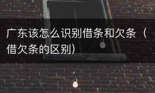 广东该怎么识别借条和欠条（借欠条的区别）