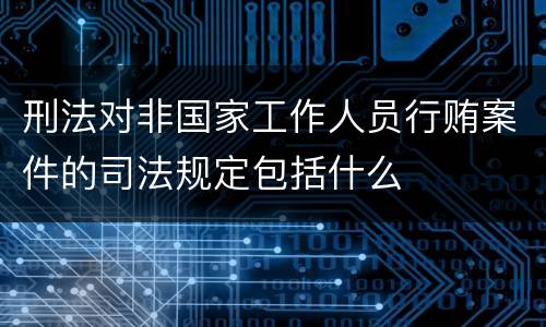 刑法对非国家工作人员行贿案件的司法规定包括什么