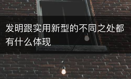 发明跟实用新型的不同之处都有什么体现