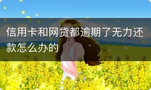 信用卡和网贷都逾期了无力还款怎么办的