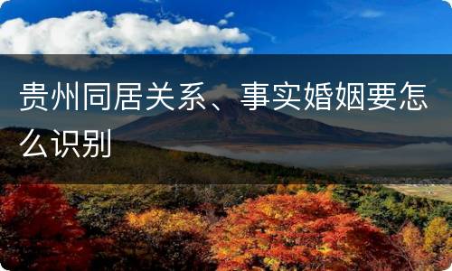 贵州同居关系、事实婚姻要怎么识别