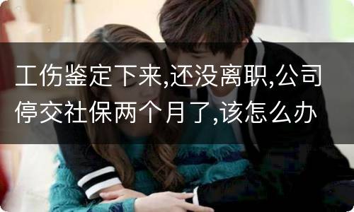 工伤鉴定下来,还没离职,公司停交社保两个月了,该怎么办