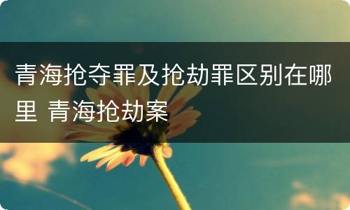 青海抢夺罪及抢劫罪区别在哪里 青海抢劫案