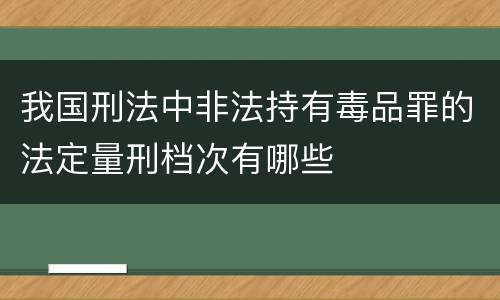 我国刑法中非法持有毒品罪的法定量刑档次有哪些