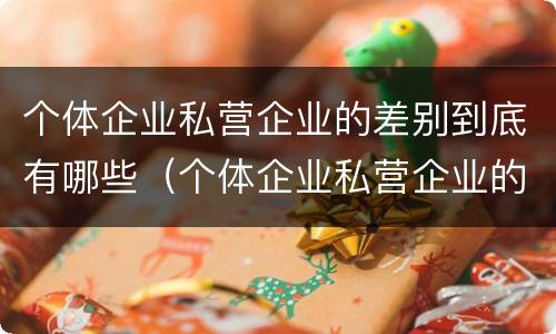 个体企业私营企业的差别到底有哪些（个体企业私营企业的差别到底有哪些方面）