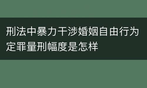 刑法中暴力干涉婚姻自由行为定罪量刑幅度是怎样