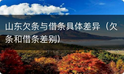 山东欠条与借条具体差异（欠条和借条差别）
