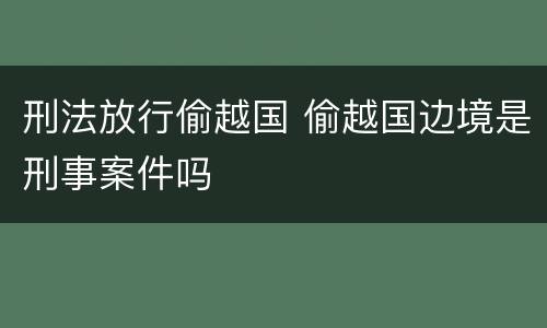 刑法放行偷越国 偷越国边境是刑事案件吗
