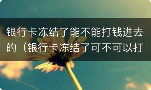 银行卡冻结了能不能打钱进去的（银行卡冻结了可不可以打钱进去）