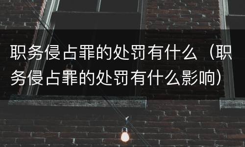 职务侵占罪的处罚有什么（职务侵占罪的处罚有什么影响）