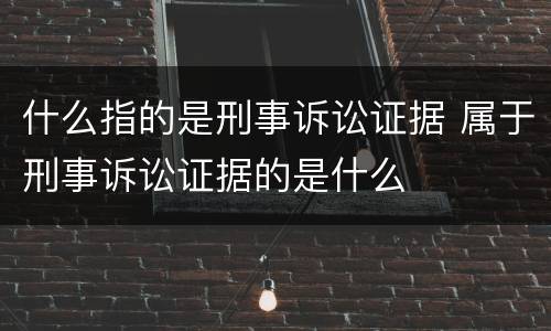 什么指的是刑事诉讼证据 属于刑事诉讼证据的是什么