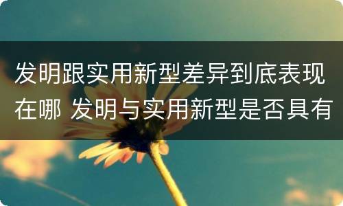 发明跟实用新型差异到底表现在哪 发明与实用新型是否具有实用性