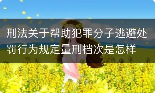 刑法关于帮助犯罪分子逃避处罚行为规定量刑档次是怎样