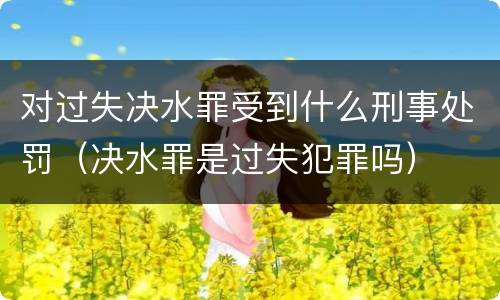 对过失决水罪受到什么刑事处罚（决水罪是过失犯罪吗）