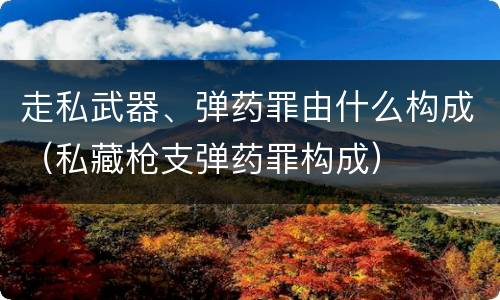 走私武器、弹药罪由什么构成（私藏枪支弹药罪构成）