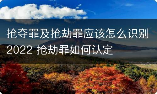 抢夺罪及抢劫罪应该怎么识别2022 抢劫罪如何认定