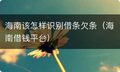 海南该怎样识别借条欠条（海南借钱平台）