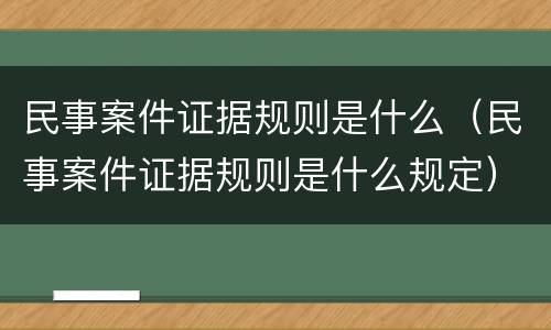 民事案件证据规则是什么（民事案件证据规则是什么规定）