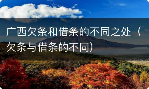 广西欠条和借条的不同之处（欠条与借条的不同）