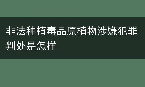 非法种植毒品原植物涉嫌犯罪判处是怎样
