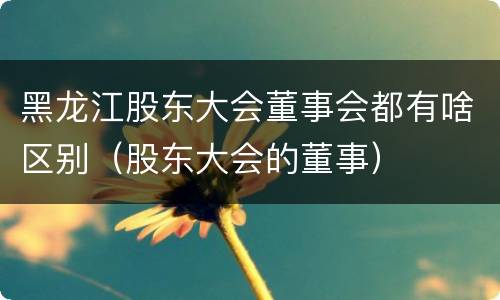 黑龙江股东大会董事会都有啥区别（股东大会的董事）