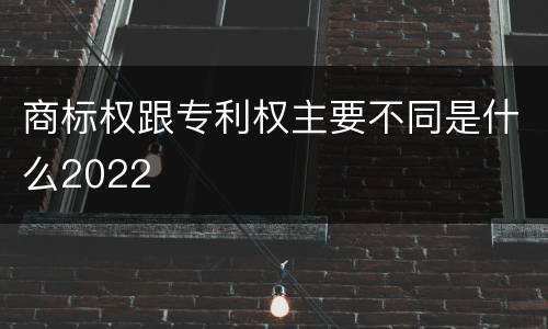 商标权跟专利权主要不同是什么2022