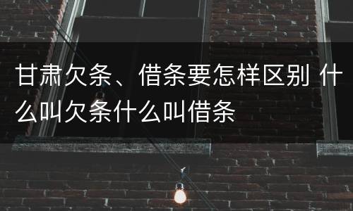 甘肃欠条、借条要怎样区别 什么叫欠条什么叫借条