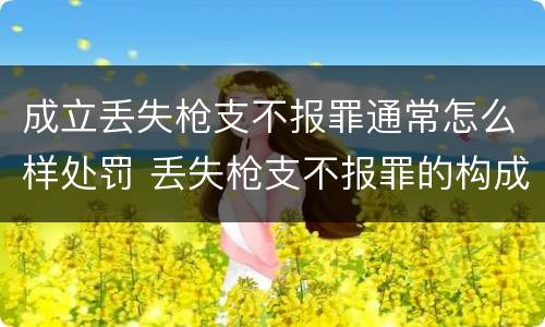 成立丢失枪支不报罪通常怎么样处罚 丢失枪支不报罪的构成要件