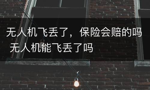 无人机飞丢了，保险会赔的吗 无人机能飞丢了吗