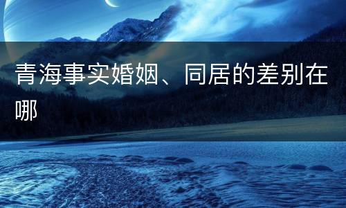 青海事实婚姻、同居的差别在哪