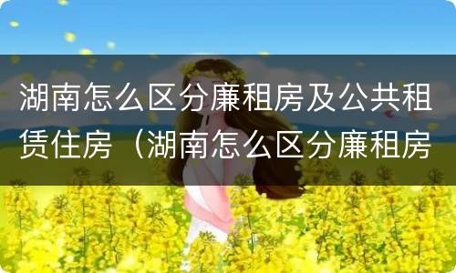 湖南怎么区分廉租房及公共租赁住房（湖南怎么区分廉租房及公共租赁住房呢）