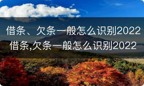 借条、欠条一般怎么识别2022 借条,欠条一般怎么识别2022款