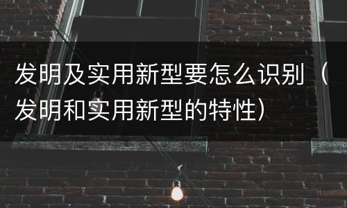发明及实用新型要怎么识别（发明和实用新型的特性）