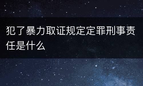 犯了暴力取证规定定罪刑事责任是什么