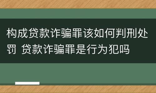 构成贷款诈骗罪该如何判刑处罚 贷款诈骗罪是行为犯吗