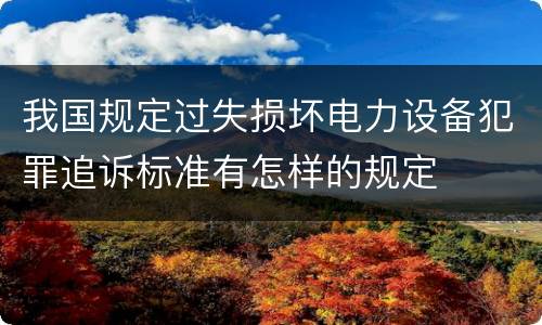 我国规定过失损坏电力设备犯罪追诉标准有怎样的规定