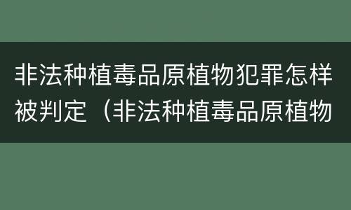 非法种植毒品原植物犯罪怎样被判定（非法种植毒品原植物罪中的种植行为）