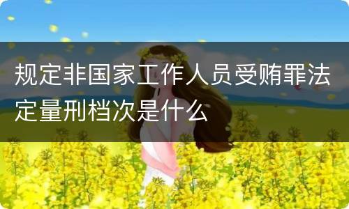 规定非国家工作人员受贿罪法定量刑档次是什么