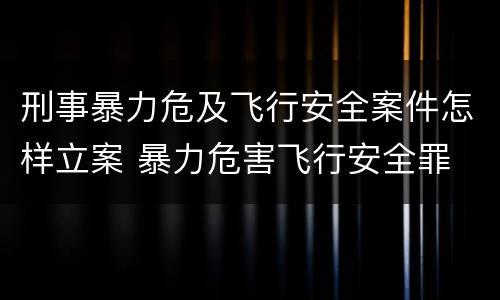 刑事暴力危及飞行安全案件怎样立案 暴力危害飞行安全罪