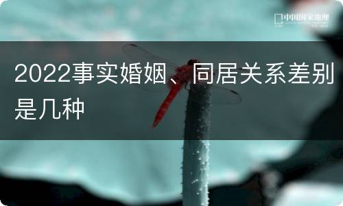 2022事实婚姻、同居关系差别是几种