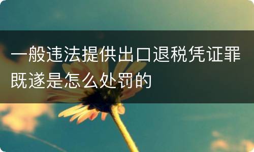 一般违法提供出口退税凭证罪既遂是怎么处罚的