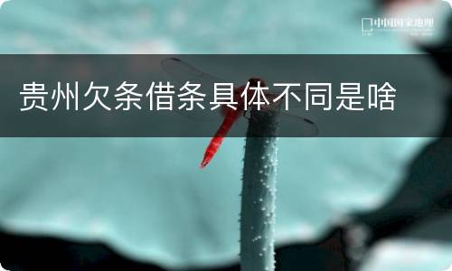贵州欠条借条具体不同是啥