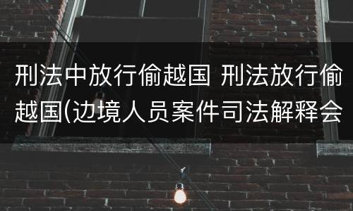 刑法中放行偷越国 刑法放行偷越国(边境人员案件司法解释会如何规定