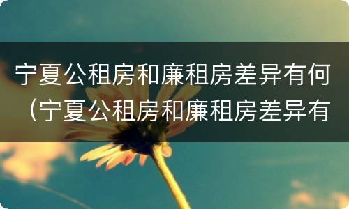 宁夏公租房和廉租房差异有何（宁夏公租房和廉租房差异有何规定）