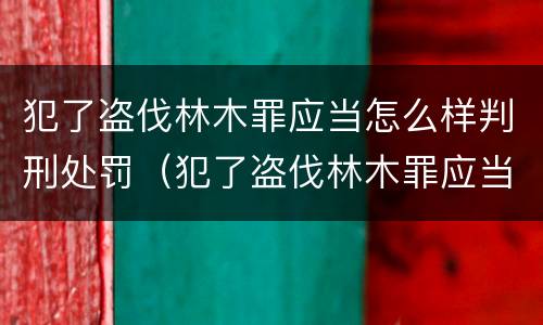 犯了盗伐林木罪应当怎么样判刑处罚（犯了盗伐林木罪应当怎么样判刑处罚呢）