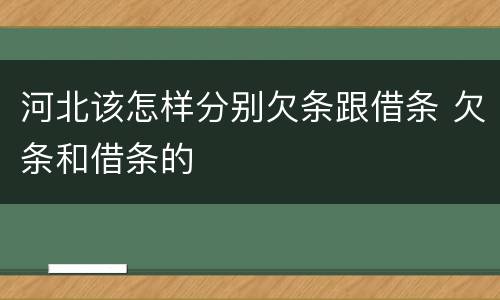 河北该怎样分别欠条跟借条 欠条和借条的