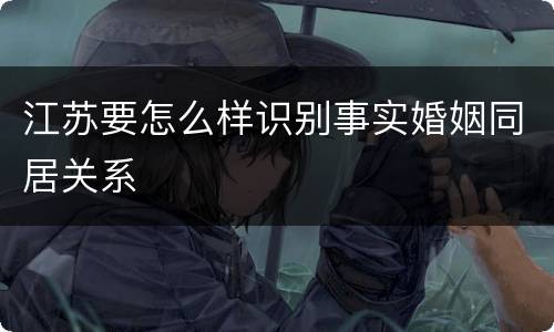 江苏要怎么样识别事实婚姻同居关系