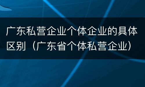 广东私营企业个体企业的具体区别（广东省个体私营企业）