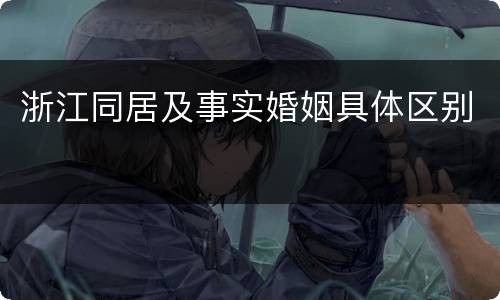 浙江同居及事实婚姻具体区别