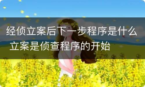经侦立案后下一步程序是什么 立案是侦查程序的开始